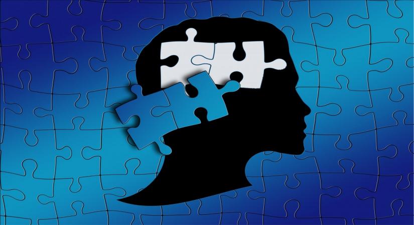 App By Indian Researchers To Help Identify Autistic Children - Vimarsana News