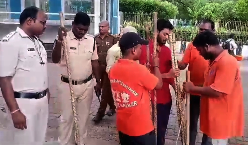 TTD defends decision to provide sticks to devotees following leopard attacks - Vimarsana News
