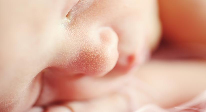 Newborns in U.P to get birth certificates at birth - Vimarsana News