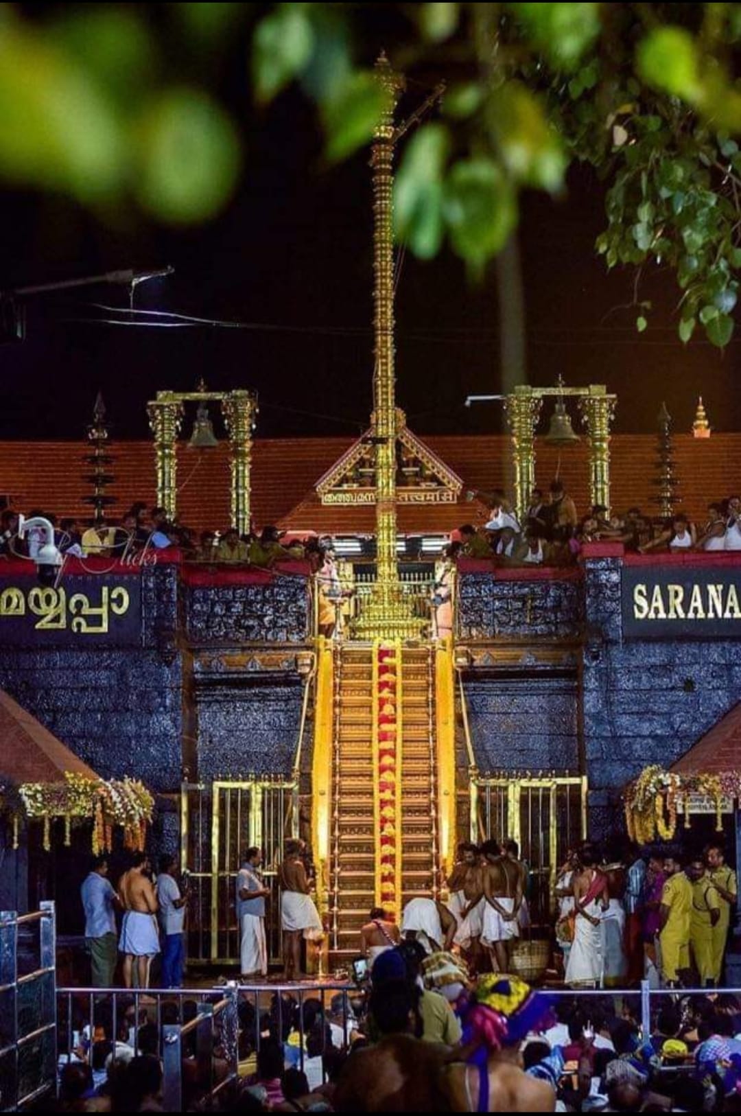 Stage set for Sabarimala pilgrimage in Kerala - Vimarsana News