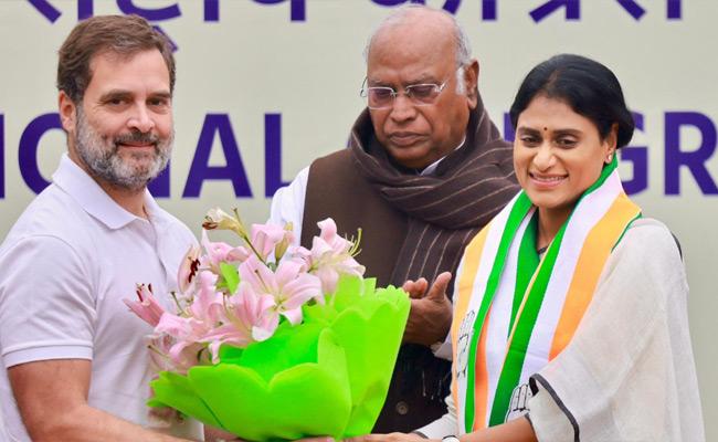 Sharmila appointed Congress president in Andhra Pradesh - Vimarsana News