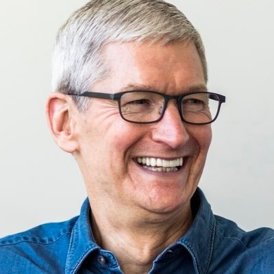 People often get emotional when they try Vision Pro for first time: Tim Cook - Vimarsana News