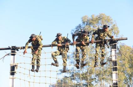 BSF foils mobile phones' smuggling bid at India-B'desh border