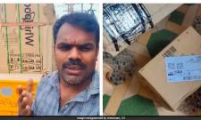  - Sakshi Post