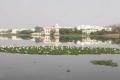 They walk for saving lakes in Twin Cities - Sakshi Post