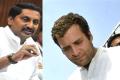 Is Rahul scared of YSRCP&#039;s popularity? - Sakshi Post