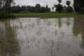 YSRCP demands immediate relief for flood victims - Sakshi Post