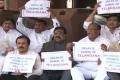 T Cong MPs stage dharna in front of Parliament - Sakshi Post