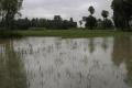AP rains claim 17 lives, cause huge crop damage - Sakshi Post