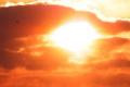 22 die of sun stroke in AP - Sakshi Post