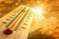 Heatwave kills 524 in  Andhra Pradesh - Sakshi Post