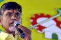 TDP President Chandrababu Naidu declares assets - Sakshi Post