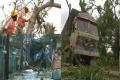Cyclone claims one life, damages infrastructure, crops in Andhra - Sakshi Post