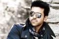 Case registered against Ram Charan over Yevadu&#039;s &#039;obscene&#039; scenes - Sakshi Post