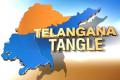 Telangana Bill not before Feb 18? - Sakshi Post