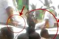 Balayya kicks his assistant during roadshow in Hindupur Balayya kicks his assistant during roadshow in Hindupur - Sakshi Post