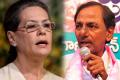 TRS is opportunistic: Sonia - Sakshi Post