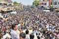 'Chandrababu shivering with Y.S.Jagan's wave' - Sakshi Post