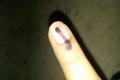 Polling begins for LS, Assembly seats in Telangana - Sakshi Post