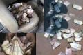 Innova car engine carries Rs 2.5 crore, notes burnt in Nalgonda Innova car engine carries Rs 2.5 crore, notes burnt in Nalgonda - Sakshi Post