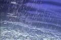 Unseasonal rain claims 11 lives in AP - Sakshi Post
