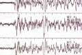 Magnitude-6 quake rocks AP coastline, other states - Sakshi Post