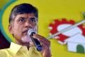 TDP starts its two-day annual conclave &#039;Mahanadu&#039; - Sakshi Post