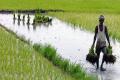 IBA oppose farm loan waiver package of AP, Telangana govts - Sakshi Post