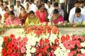 Jagan leads countless Telugus in paying homage to YSR - Sakshi Post