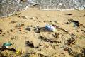 Coastal Cleanup Day observed Coastal Cleanup Day observed - Sakshi Post