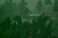 Uprooted trees, electric poles tell tale of Hudhud impact - Sakshi Post