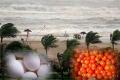 HudHud effect: Water bottle Rs.300, Tomato Rs 80 per kg in Vizag - Sakshi Post