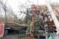 Death toll in cyclone rises to 35 in AP - Sakshi Post
