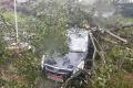 Insurance claims pouring in from cyclone-hit AP and Odisha - Sakshi Post