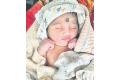 Newborn twins found dead in garbage bin in Vijayawada - Sakshi Post