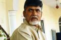 TDP MLA points out lacunae in Chandrababu&#039;s crop loan waiver - Sakshi Post