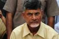 TDP in a spot over RBI&#039;s foreign investment comment - Sakshi Post