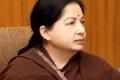Jaya case: SPP, DMK counsel clash in court - Sakshi Post
