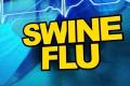 Teacher dies of swine flu in Chandrababu&#039;s home district - Sakshi Post