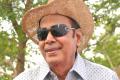 D Rama Naidu: From Farm Land to Film Land - Sakshi Post