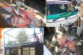 Friends or foes?: TDP men attack BJP rath yatra - Sakshi Post