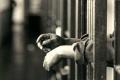 Life sentence for Kurnool rape convicts - Sakshi Post