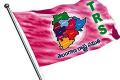 TRS wins five seats in Telangana council - Sakshi Post