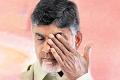 Revanth&#039;s Arrest: Is ACB planning to serve notice on Chandrababu? - Sakshi Post