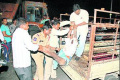 4 killed, 12 injured in truck-van collision 4 killed, 12 injured in truck-van collision - Sakshi Post
