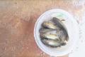 It rained fish in Vijayawada - Sakshi Post