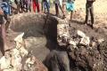 Calf rescued from irrigation well - Sakshi Post