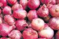 Onions distributed on the occasion of YSR Death anniversary - Sakshi Post