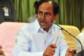 KCR heading for Andhra after 14 years - Sakshi Post
