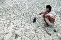 Andhra declares 196 &#039;mandals&#039; drought-hit - Sakshi Post